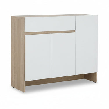 PRESTON SHOE CABINET