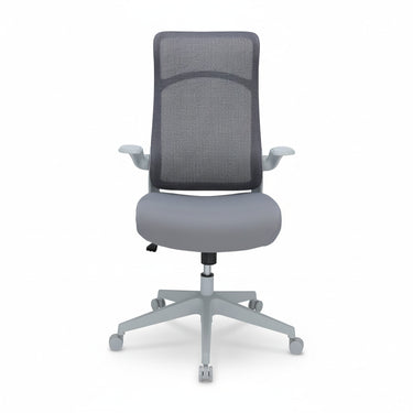 RADY EXECUTIVE CHAIR