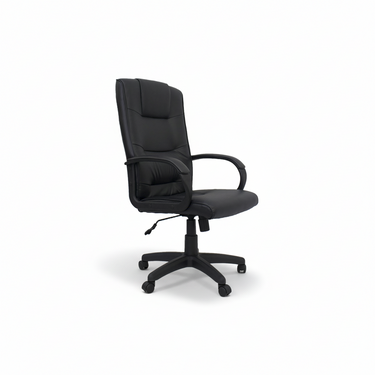 SHAYNE EXECUTIVE CHAIR (7581982261475)