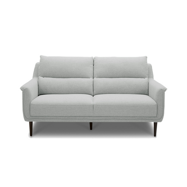 Light grey 2-seater sofa with two cushions and two back pillows, tapered legs.