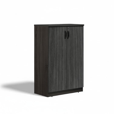 MP3 MEDIUM HEIGHT CABINET WITH WOODEN DOOR (4498005426259) (7581976428771)