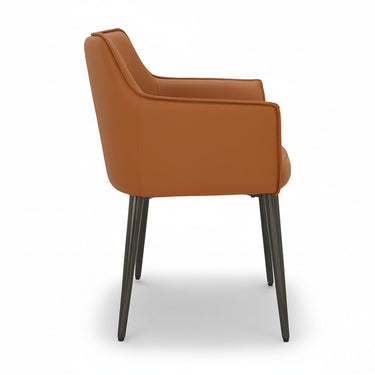 DAVID DINING CHAIR