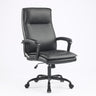 HAYES executive chair with padded black backrest, armrests, and swivel caster base