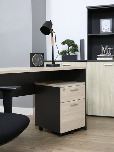 ACTIVA MOBILE PEDESTAL (7747145171171)